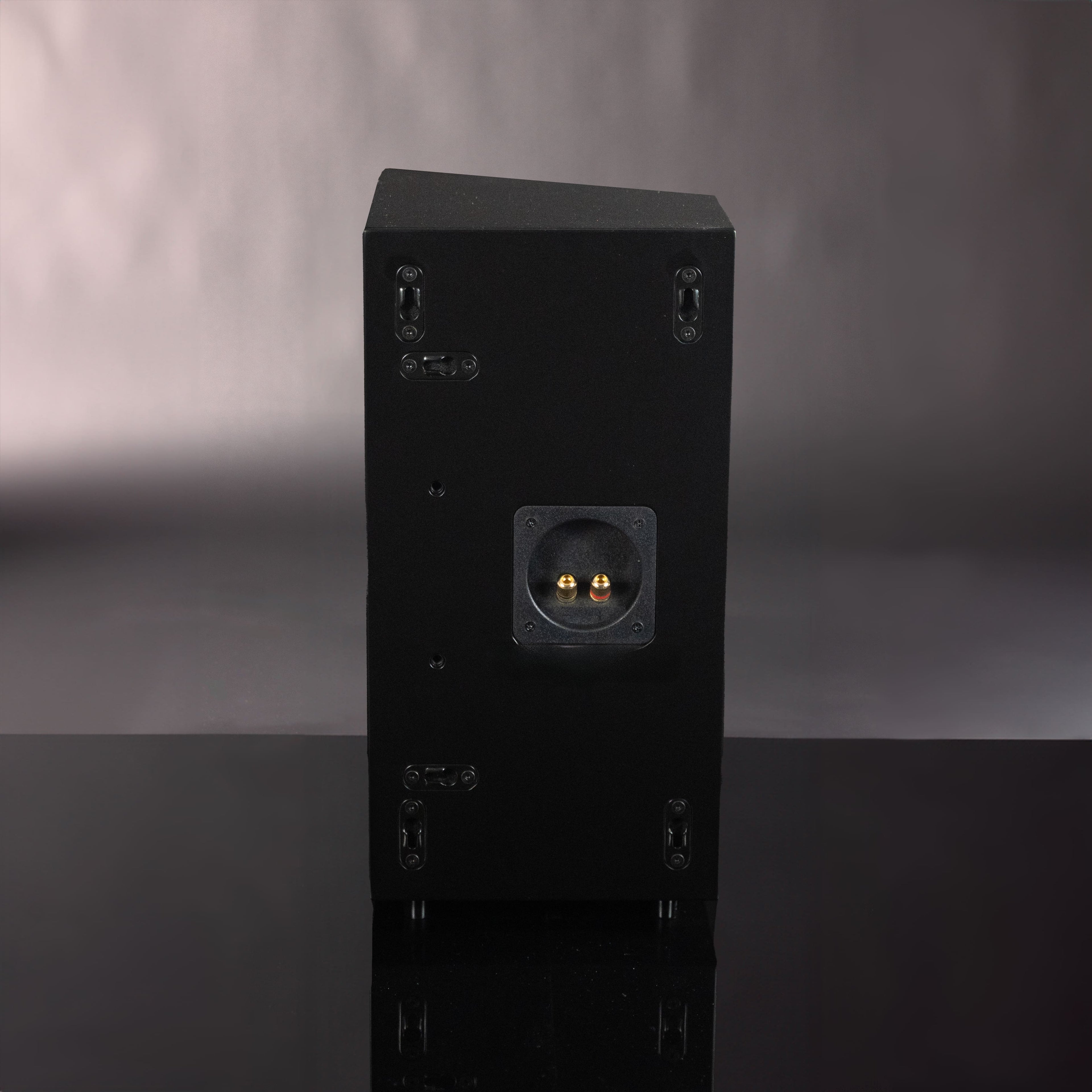 MFL-6 Speaker (Individual)