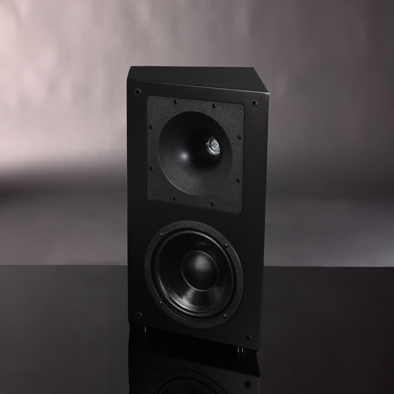 MFL-6 Speaker