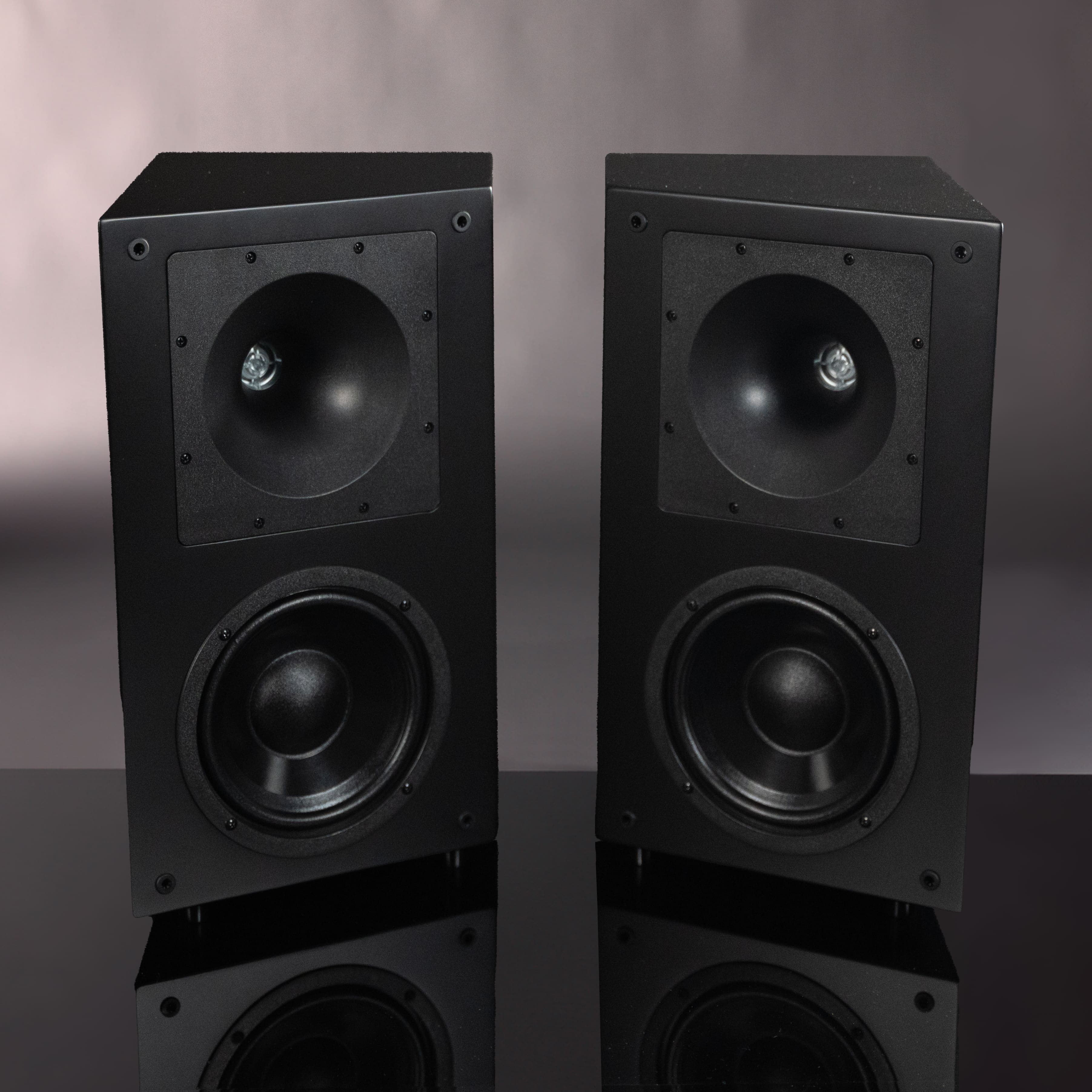 MFL-6 Speaker (Individual)