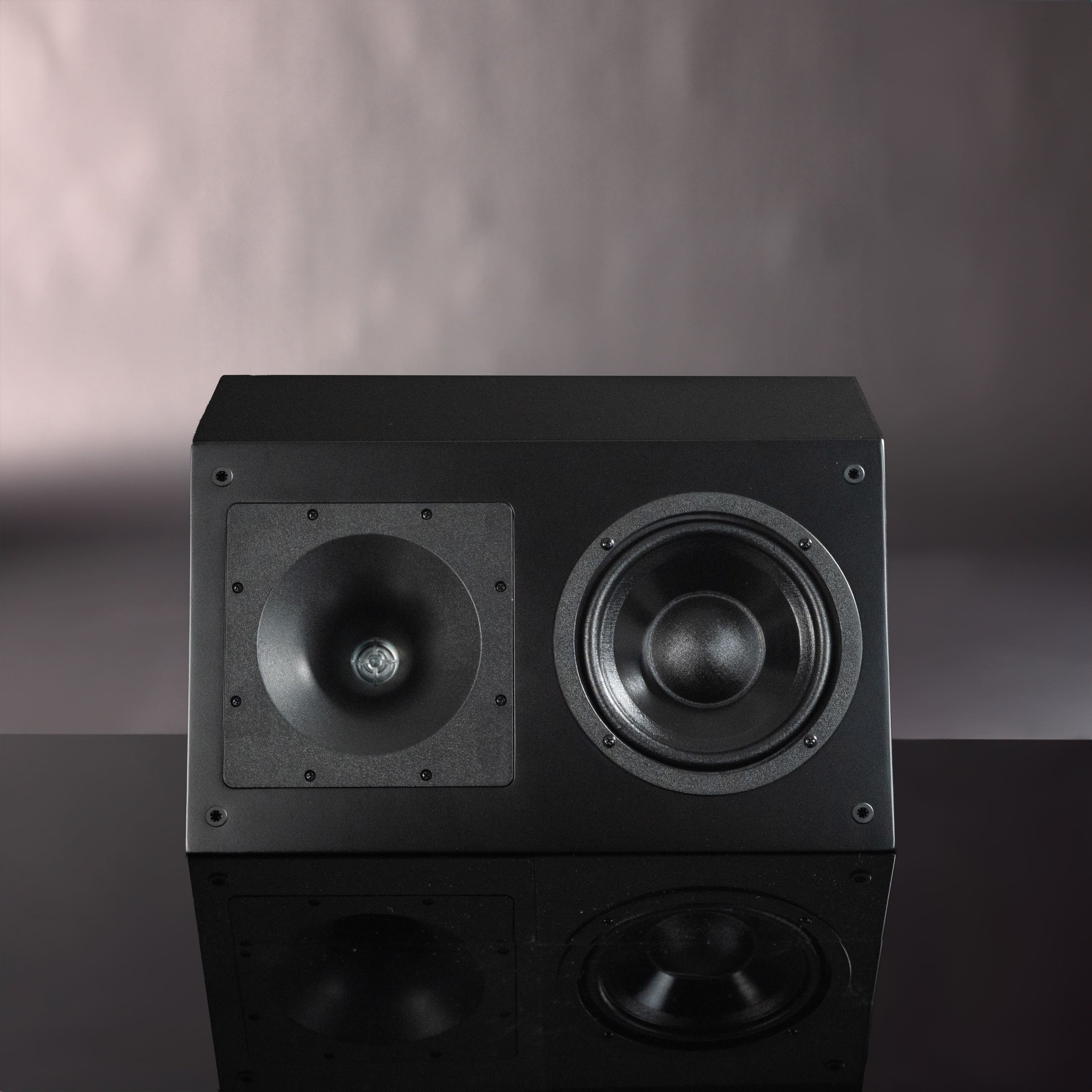 MFL-6 Speaker (Individual)