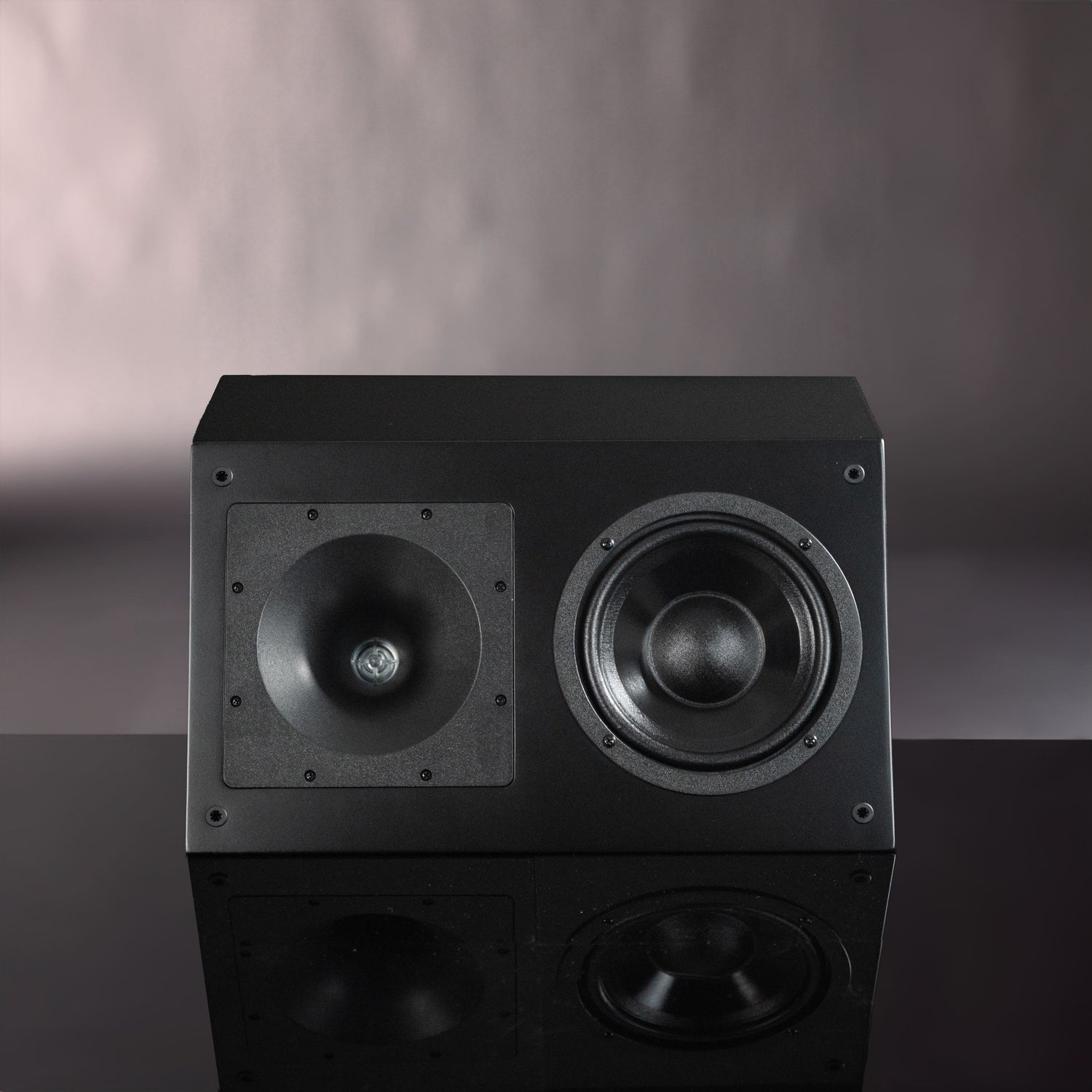 MFL-6 Speaker